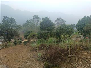 Bán đất thổ cư view cánh đồng cao thoáng