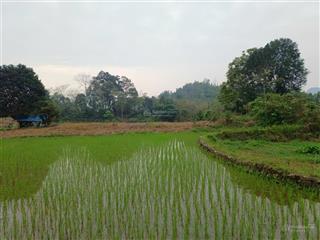 Bán lô đất view cánh đồng  có ao  không gian nghỉ dưỡng tuyệt đẹp