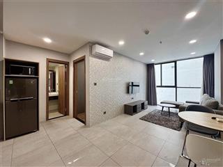 Căn hộ 1pn 1pk siêu rộng chỉnh chu, dịch vụ dọn phòng, giặt đồ đầy đủ, di chuyển q1 5p
