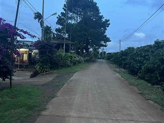 Chính chủ cần bán nhà, đất vườn cafe cho thu mạnh. mặt tiền đường bê tông rộng. 0975 763 *** thinh