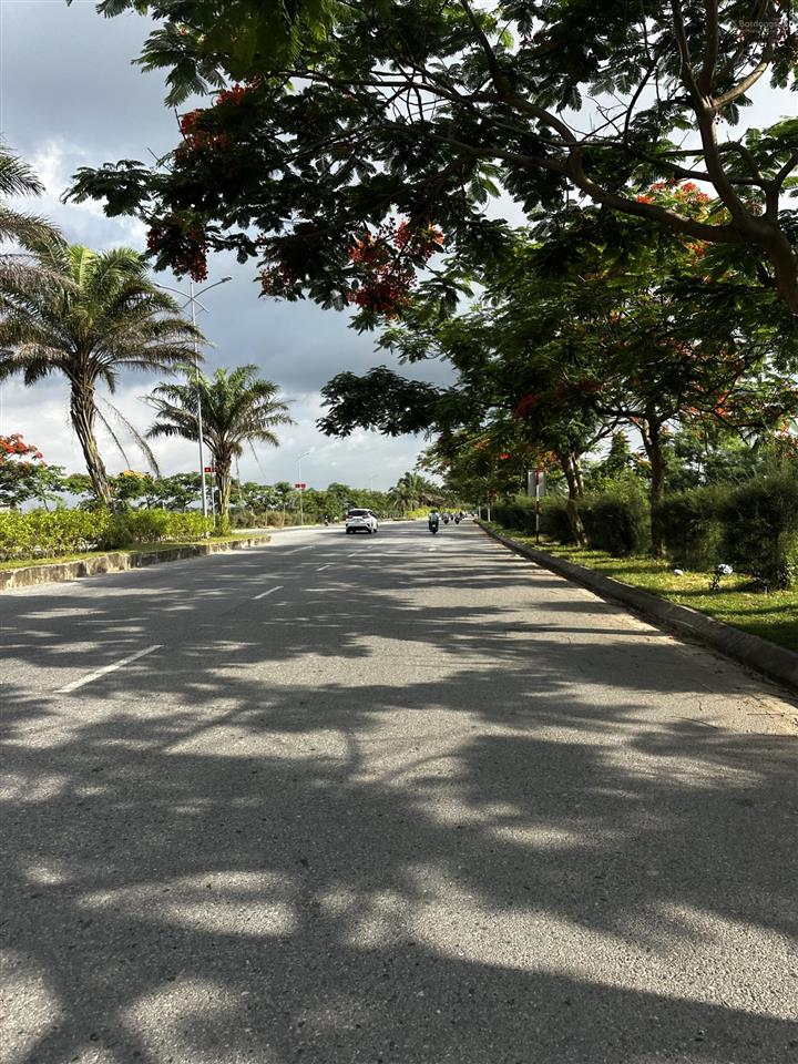 Bán nhà tuyến 2 đại lộ bắc nam lê hồng phong 4pn, 5wc, the greenery 2 hải phòng, 4,9 tỷ, 75m2, 3.5t