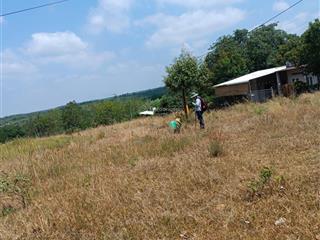 Vpbank phát mại đất tại đường liên sơn, dt 1325 m2, mt42m