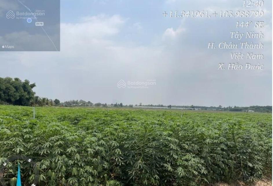 Vpbank phát mại đất tại xã hảo đước, châu thành, tây ninh, dt 7433.8 m2, mt 40m