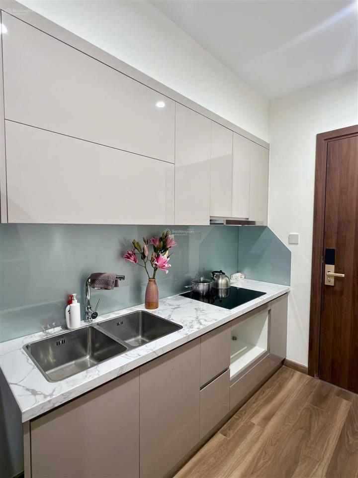 Chính chủ cho thuê căn hộ chung cư 1 ngủ vinhomes ocean park gia lâm