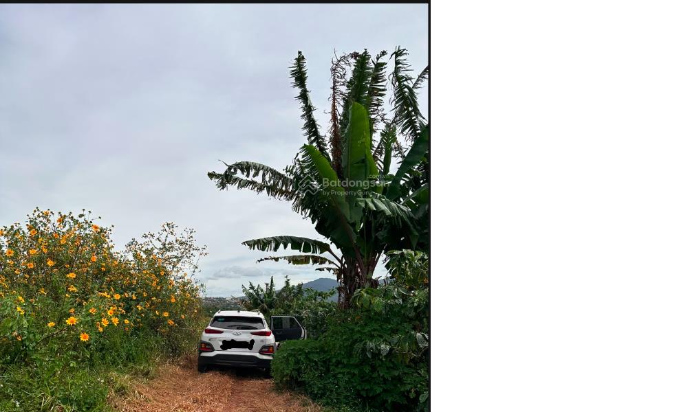 Chính chủ cần bán ~1.800m² đất view hồ đông thị trấn di linh, lâm đồng, 2.8 tỷ,  0865 863 ***