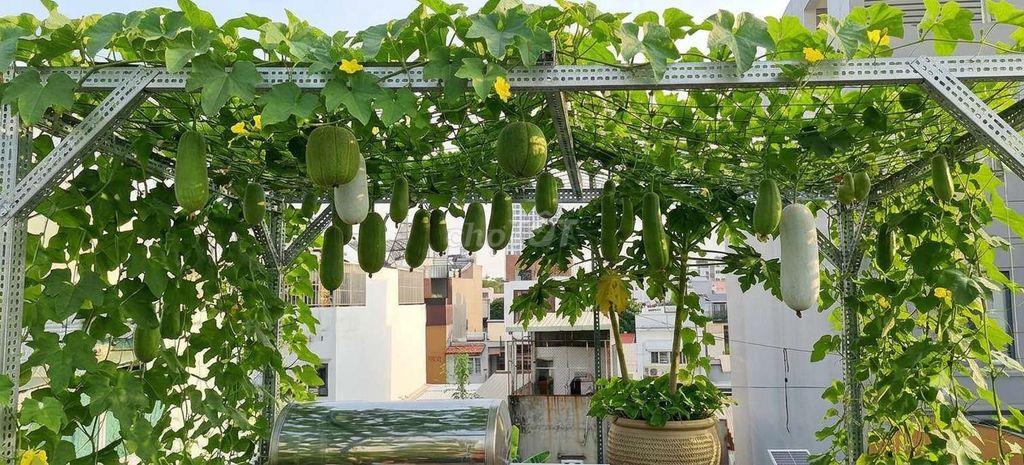 10,2 TỶ – NHÀ ĐẸP TÂN HƯNG Q7 – HẺM XE TẢI  – SỔ HỒNG HOÀN CÔNG
