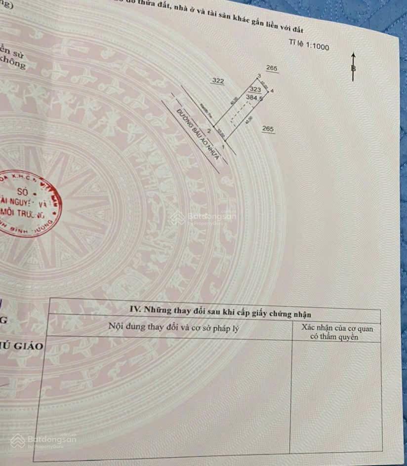 Bán đất mặt tiền đường nhựa 2,5 tỷ, 385 m2 tại bàu ao, phước vĩnh, bình dương, hot!
