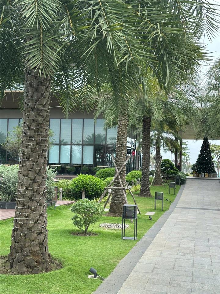 Sở hữu ngay nhà phố izumi canaria chỉ với 10% ký mua hđmb giá gốc cđt, nhận chiết khấu ưu đãi 6%!