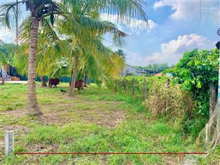 Bán đất mặt tiền đường nhựa giá tốt 174m2  770 tr ngay trảng bàng, tây ninựa