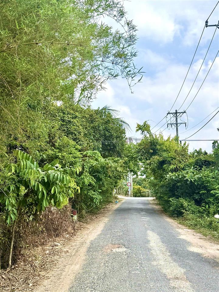 Sở hữu đất trồng cây mặt tiền 10x45m  399m2 giá cực tốt chỉ 800tr