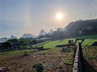 Cần bán trước tết nhanh tay anh chị ơi