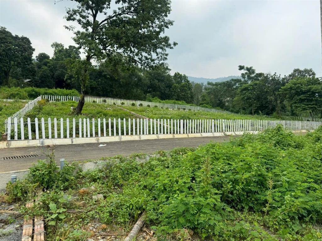 Cùng e về liên sơn đón sóng đường vd5 đang triển khai giai đoạn 1 và sẽ tiếp tục giai đoạn 2