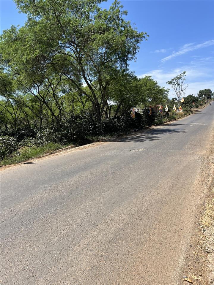 Bán đất dt 2872m2, giá 6,7 tỷ tại đt 724, phúc thọ, lâm hà, lâm đồng