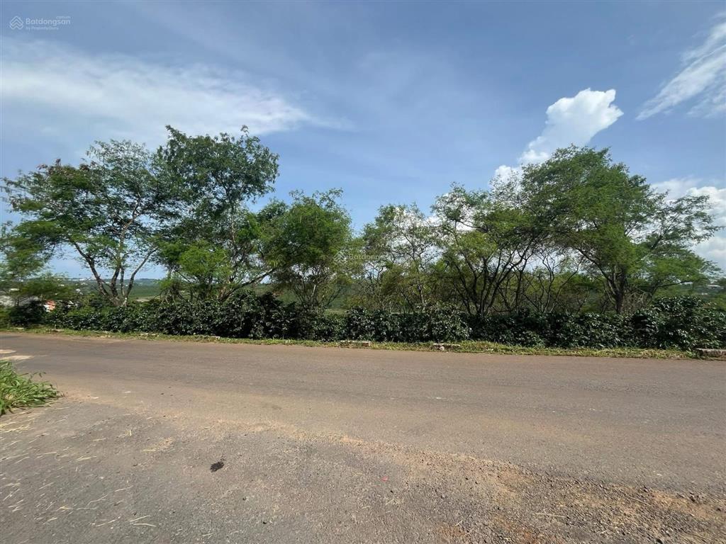 Cần bán lô đất mặt tiền tại xã phúc thọ, 5,9 tỷ, 2872 m2, giá tốt