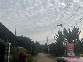 Bán đất nền dự án tại quốc lộ 56, xuân quế, cẩm mỹ, đồng nai, 1,8 tỷ, 300m2