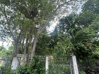 Bán đất chính chủ  sổ hồng 2025. 50 m2 thổ cư. phường bình nhâm, tp thuận an, bình dương