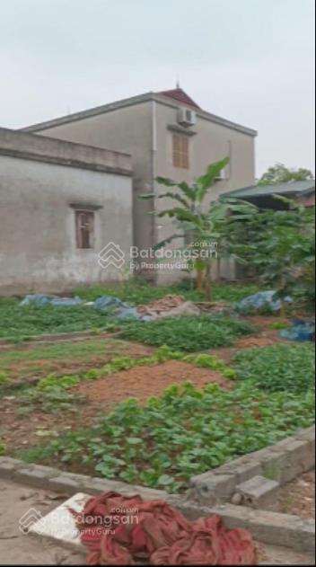 Bán đất lô góc 100m2 nghiêm xuyên, thường tín gần khu svđ trống đồng. cơ hội đầu tư tăng giá cao