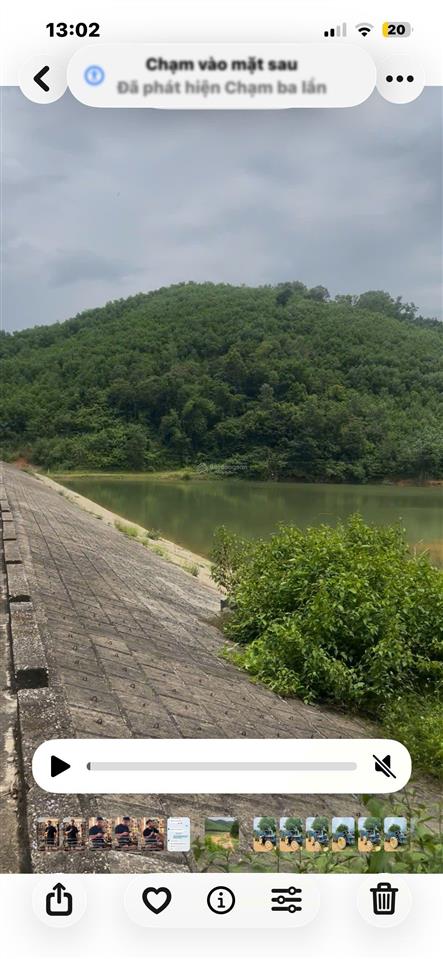Bán đất sản xuất rừng kfw4 thạch thành th dt 3heta. sát quốc lộ 217b phố cát 3km. giá nhỉnh 300t/h