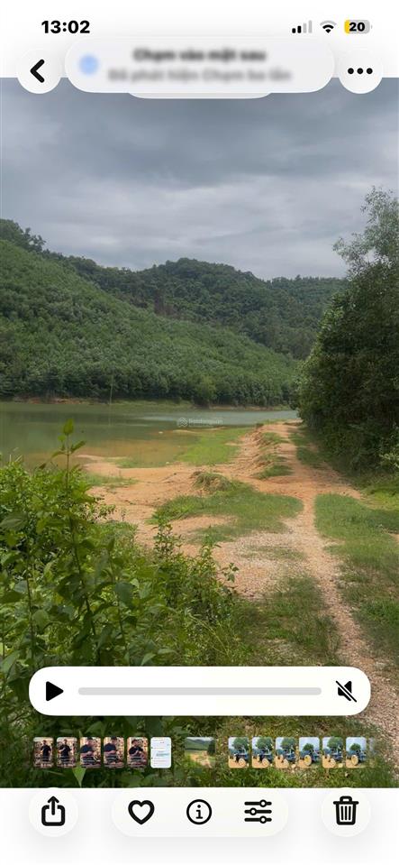 Bán đất sản xuất rừng kfw4 thạch thành th dt 3heta. sát quốc lộ 217b phố cát 3km. giá nhỉnh 300t/h