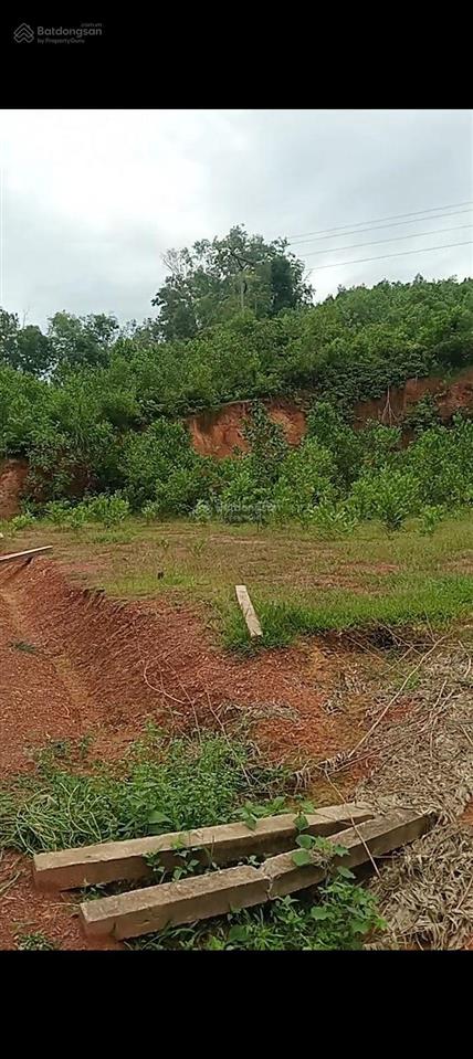 Bán đất sản xuất rừng kfw4 thạch thành th dt 3heta. sát quốc lộ 217b phố cát 3km. giá nhỉnh 300t/h
