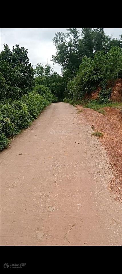 Bán đất sản xuất rừng kfw4 thạch thành th dt 3heta. sát quốc lộ 217b phố cát 3km. giá nhỉnh 300t/h