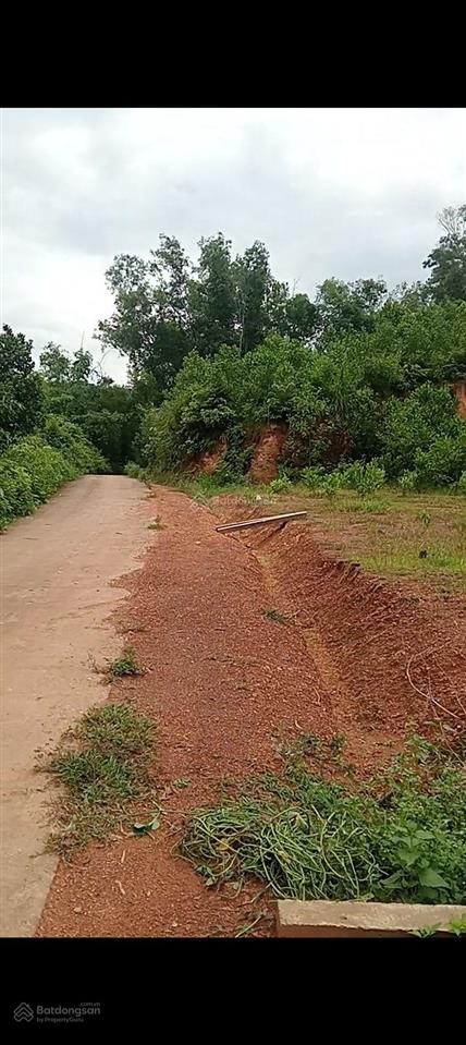 Bán đất sản xuất rừng kfw4 thạch thành th dt 3heta. sát quốc lộ 217b phố cát 3km. giá nhỉnh 300t/h