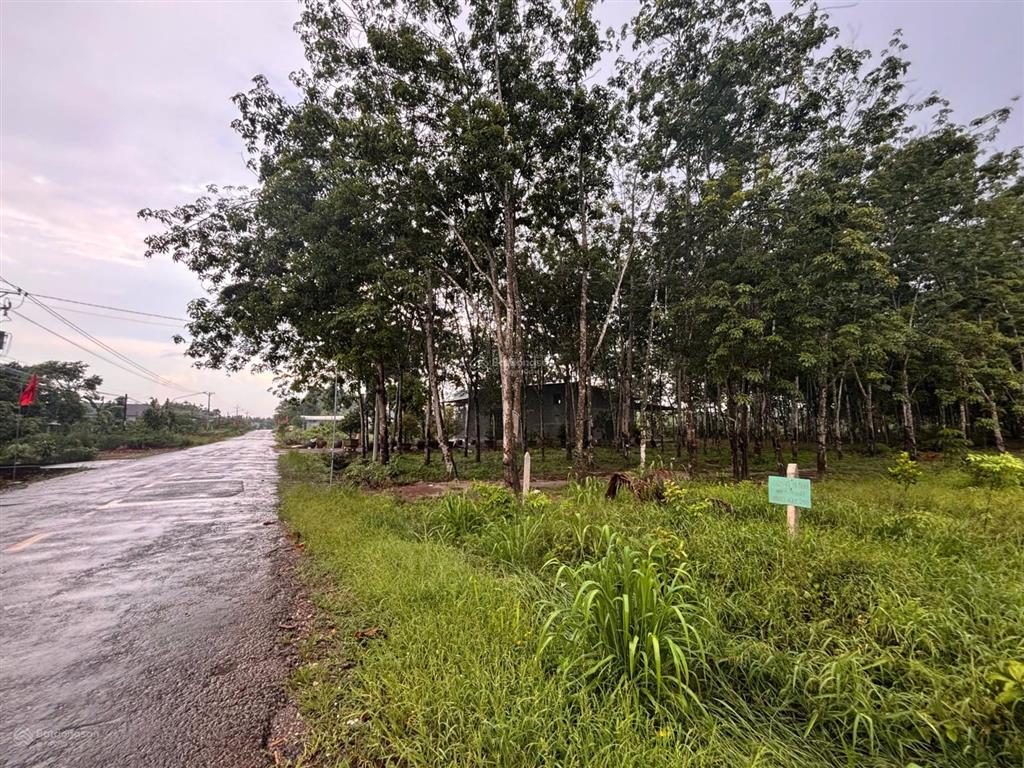 Bán đất mặt tiền đường dh506, xã phước thành, tp. hcm sổ hồng riêng