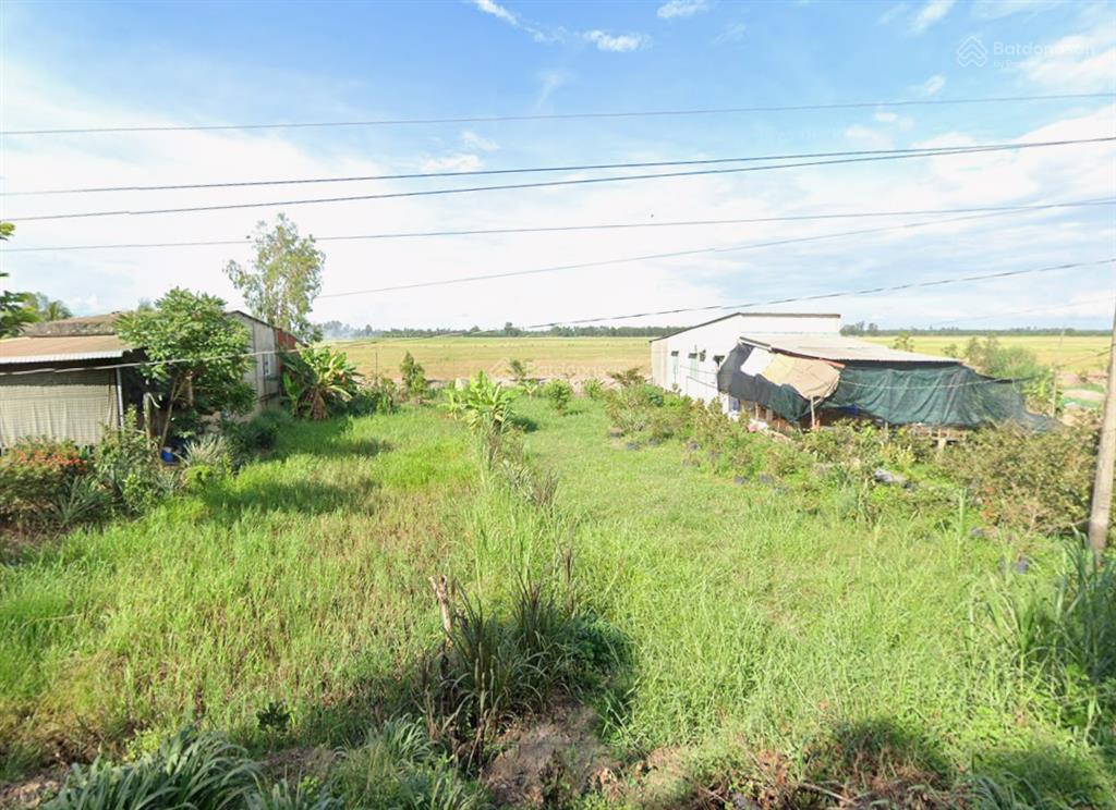 Bán đất tại xã phú cường, huyện tam nông, đồng tháp, 1,4 tỷ, 200m2 giá cực chất uy tín