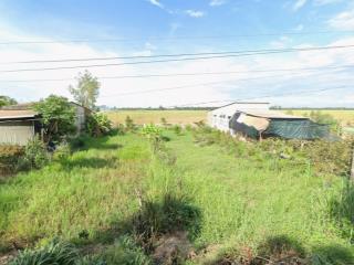 Bán đất tại xã phú cường, huyện tam nông, đồng tháp, 1,4 tỷ, 200m2 giá cực chất uy tín