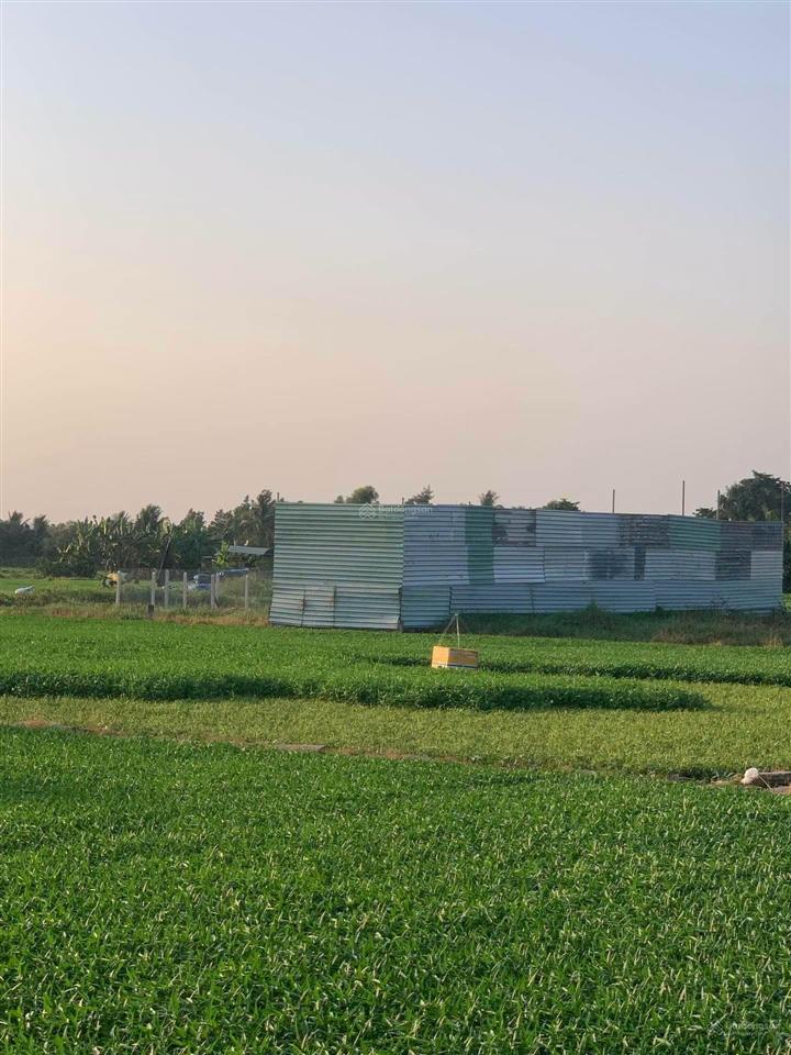 Bán đất tại đông thạnh, hóc môn, 16,5 tỷ, 400 m2