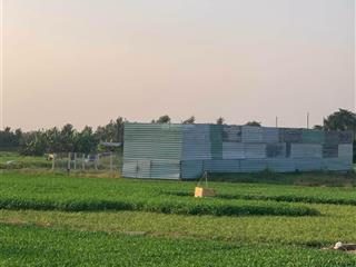 Bán đất tại đông thạnh, hóc môn, 16,5 tỷ, 400 m2