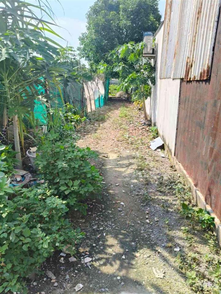 Bán đất tại mỹ hoà 3, huyện hóc môn, 12,2 tỷ, 110m2, giá tốt