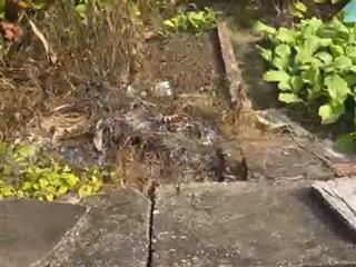 Bán đất 77m2 tại đường 17b, lê lợi, an dương, hải phòng, 1,5 tỷ