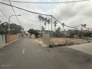 Chính chủ bán gấp mảnh đất tại văn tra, an đồng cũ nhỉnh 2 tỷ