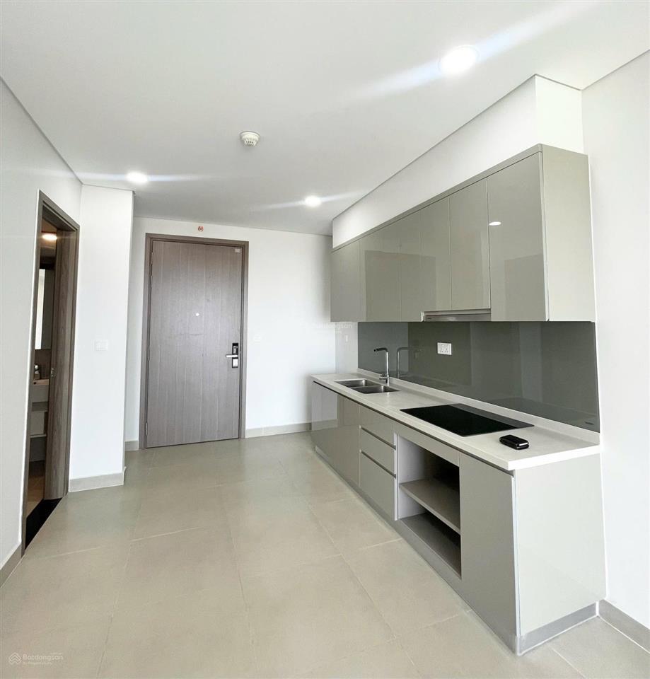 Cho thuê căn hộ sky89 view sông q7, 1pn ntcb giá thuê 11tr/tháng vào ngay