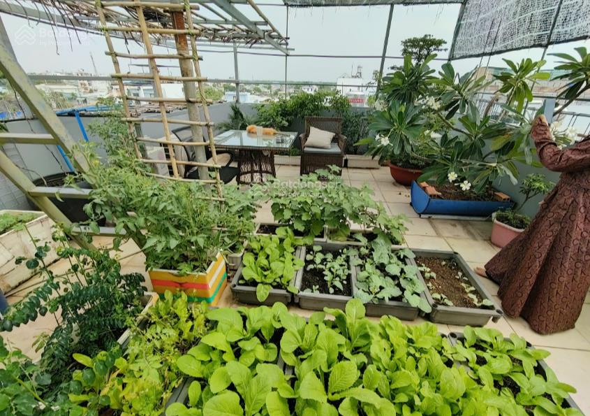 Cần bán gấp, nhà đẹp ở liền quận gò vấp giá cả thương lượng