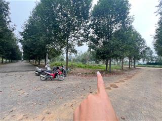 Bán lô góc tái định cư đại học quốc gia cắt lỗ trước tết