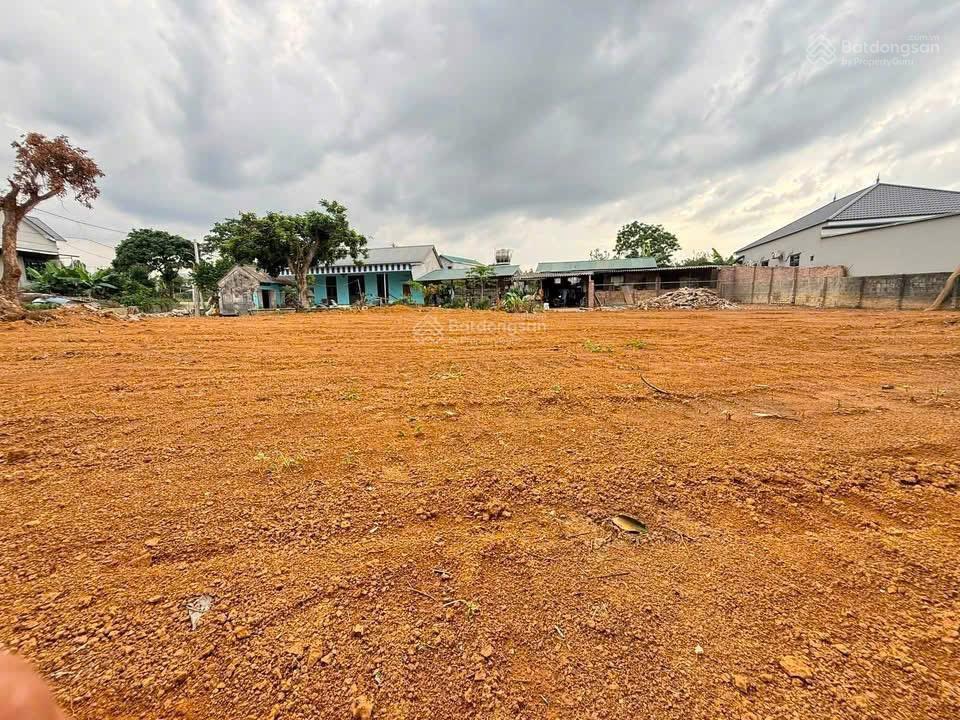 Bán mảnh đất đẹp 1260 m thị trấn quốc oai tách dc 11 lô đất mỗi lô 100m2
