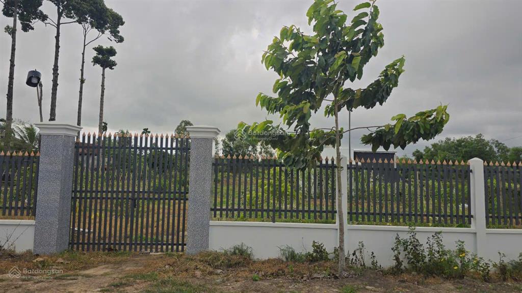 Bán đất tỉnh lộ 7, xã thái mỹ, củ chi, hồ chí minh, 2,1 triệu/m2, 8476.3 m2