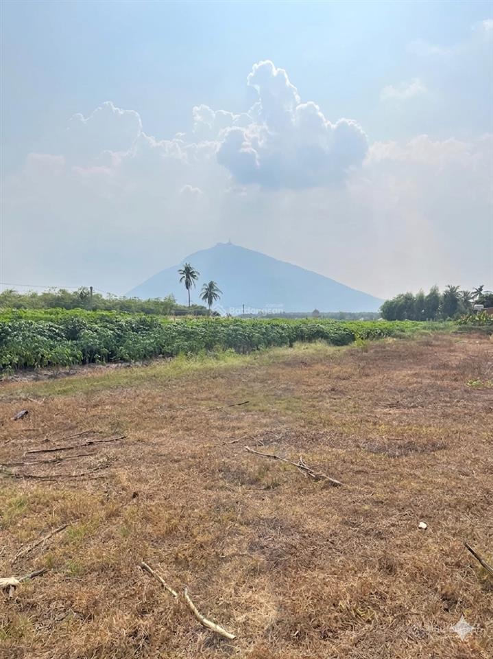 Bán đất view núi bà, thích hợp xây dựng homestay nghỉ dưỡng  thổ cư hết đất 151m2