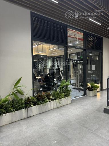 Căn hộ dhomme quận 6 1pn+ 1wc 61m2 4 tỷ 5 chỉ có duy nhất 1 căn   em khánh 0799 814 ***