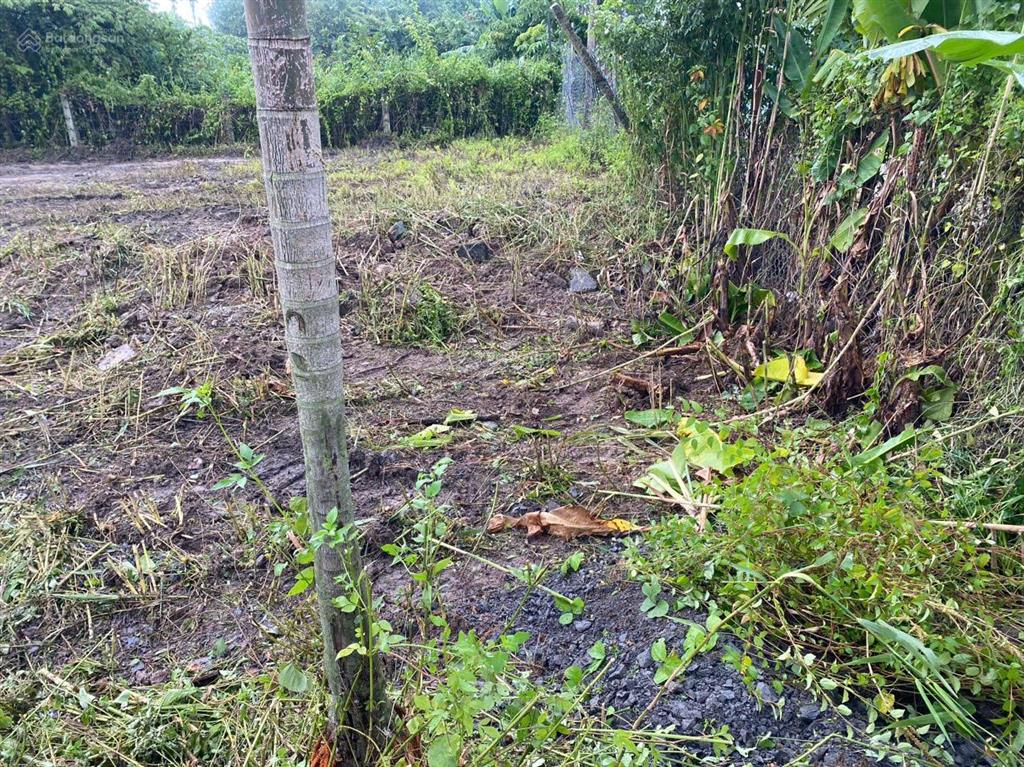 786,8m² ngang 30m nhị bình chủ cần bán nhanh, 7,79 tỷ