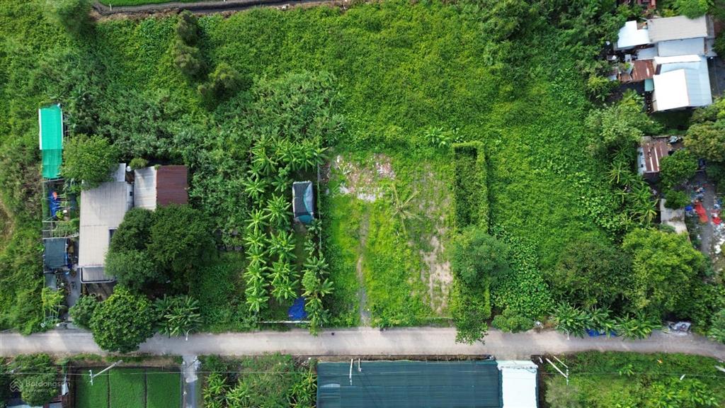 786,8m² ngang 30m nhị bình chủ cần bán nhanh, 7,79 tỷ