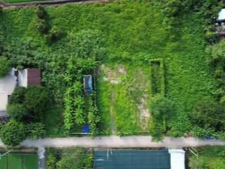 786,8m² ngang 30m nhị bình chủ cần bán nhanh, 7,79 tỷ