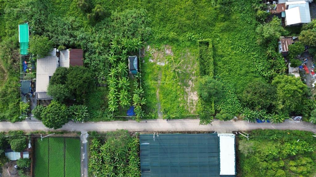786,8m² ngang 30m nhị bình chủ cần bán nhanh, 7,79 tỷ