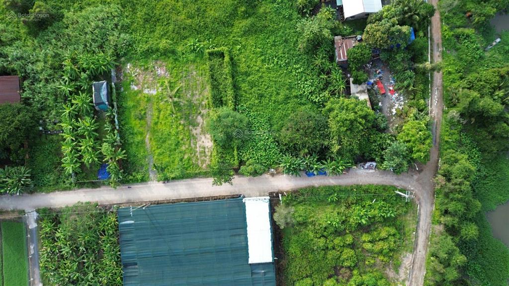 786,8m² ngang 30m nhị bình chủ cần bán nhanh, 7,79 tỷ