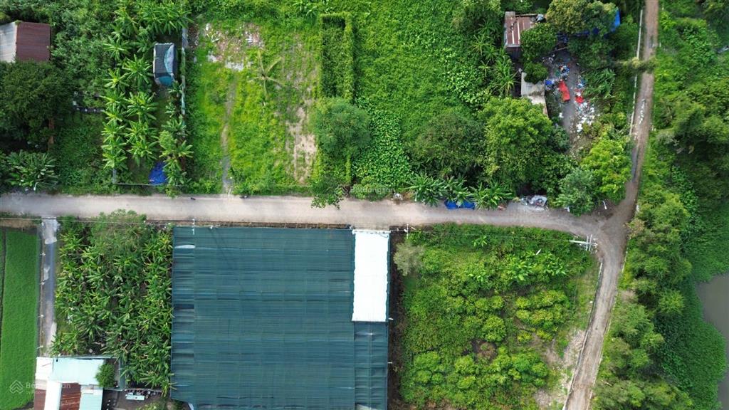 786,8m² ngang 30m nhị bình chủ cần bán nhanh, 7,79 tỷ