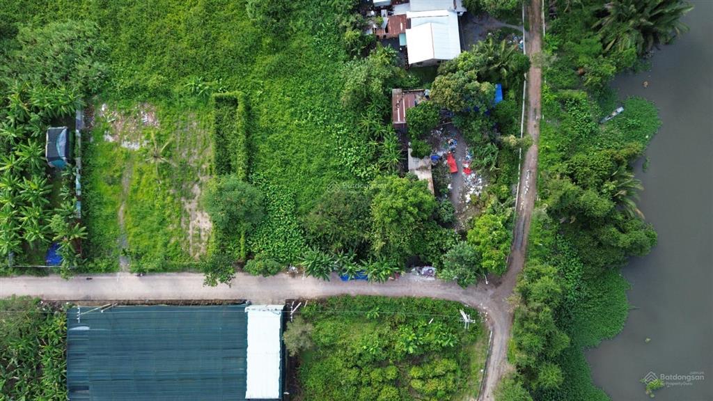 786,8m² ngang 30m nhị bình chủ cần bán nhanh, 7,79 tỷ