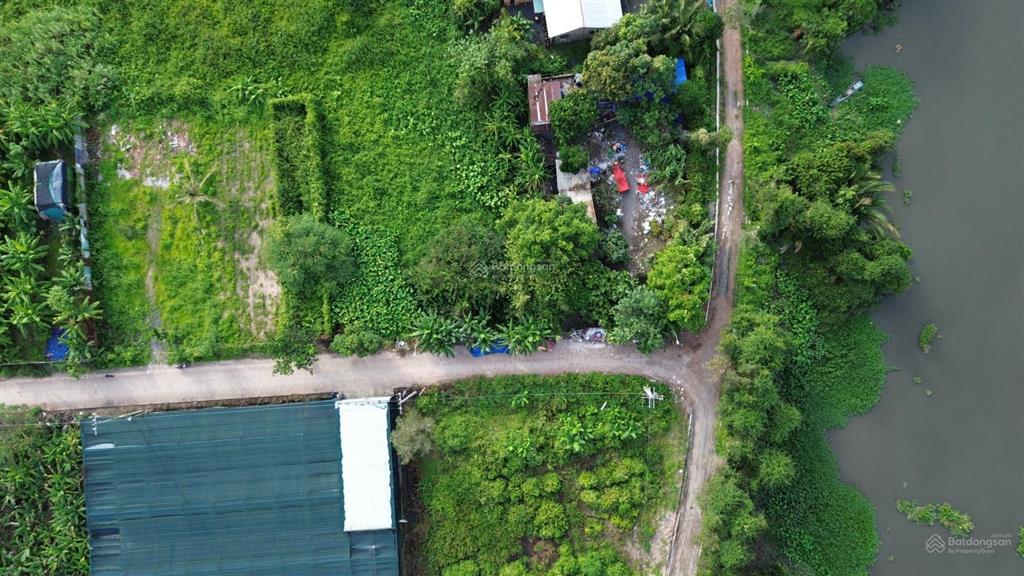 786,8m² ngang 30m nhị bình chủ cần bán nhanh, 7,79 tỷ