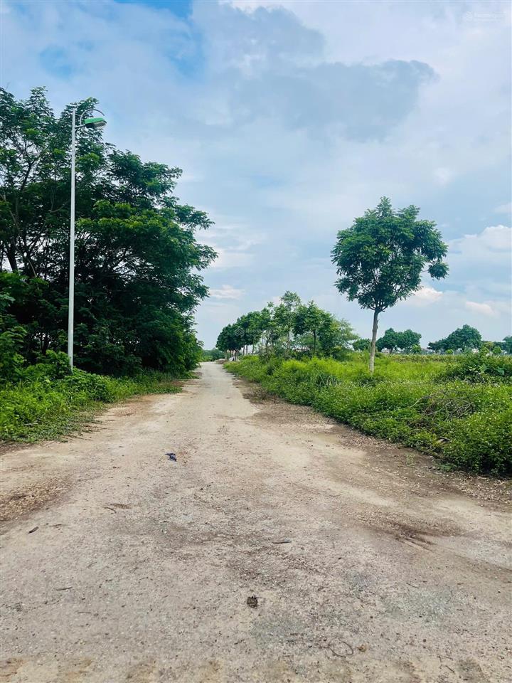 Chính chủ cần bán nhanh liền kề 10 mở rộng, sát trường đh tài chính, giá đầu tư chỉ 4xtr